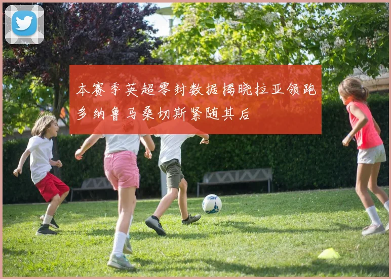 本赛季英超零封数据揭晓拉亚领跑多纳鲁马桑切斯紧随其后